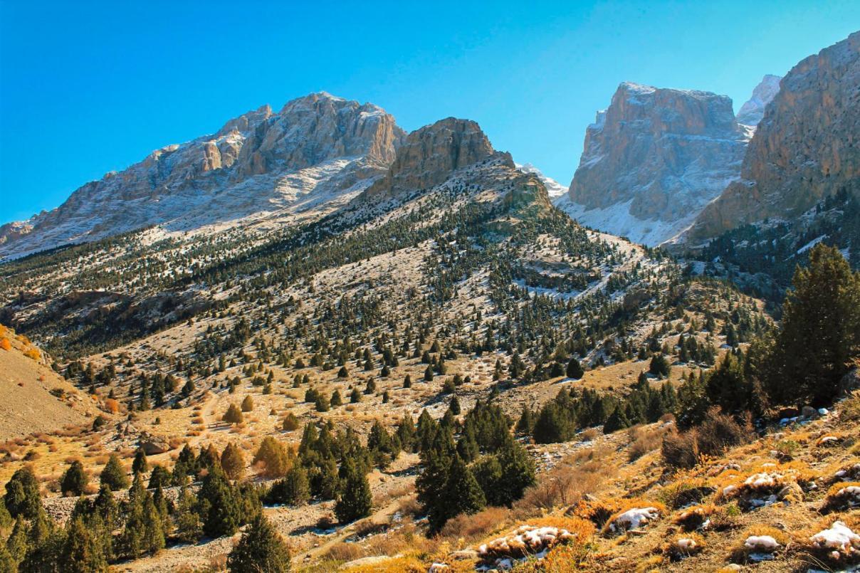 Aladaglar Mountain Hostel Cukurbag  Kültér fotó
