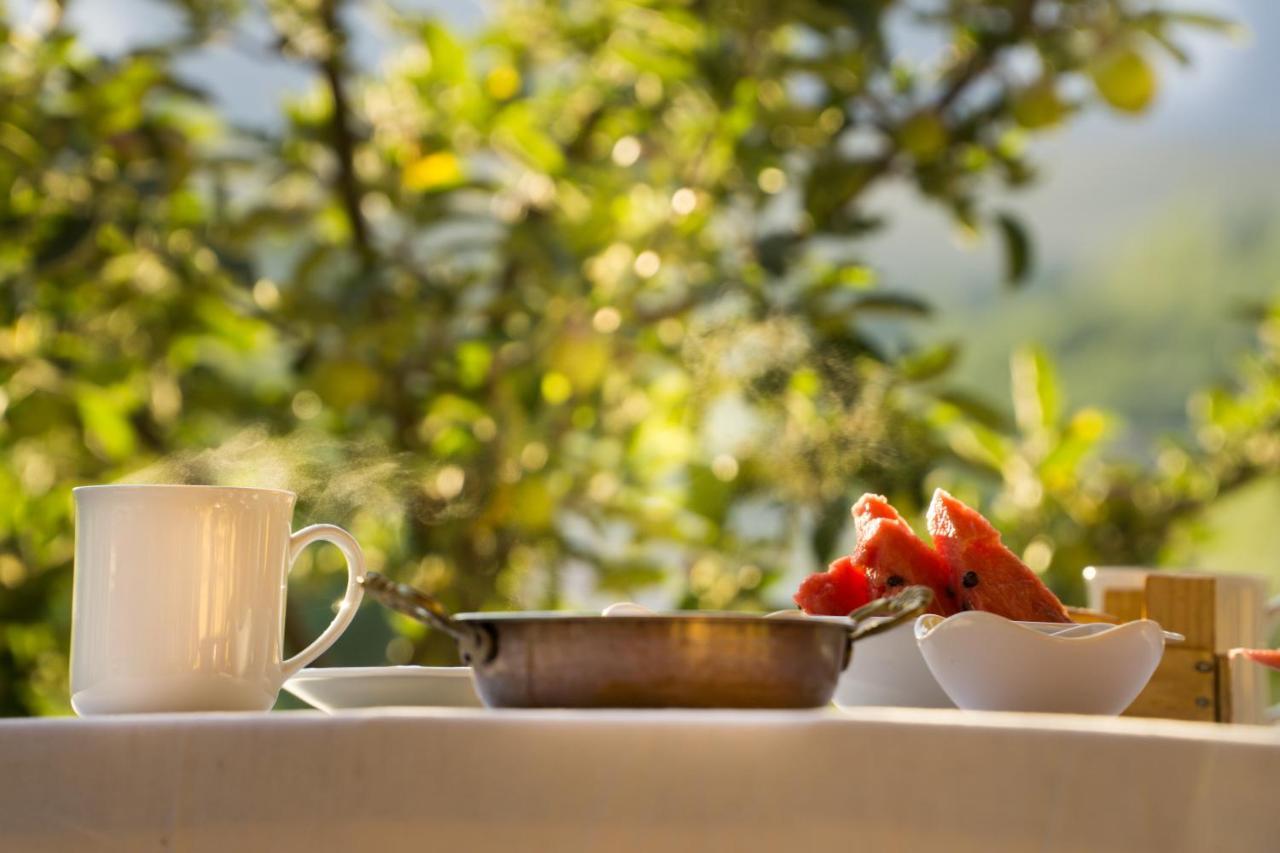Aladaglar Mountain Hostel Cukurbag  Kültér fotó